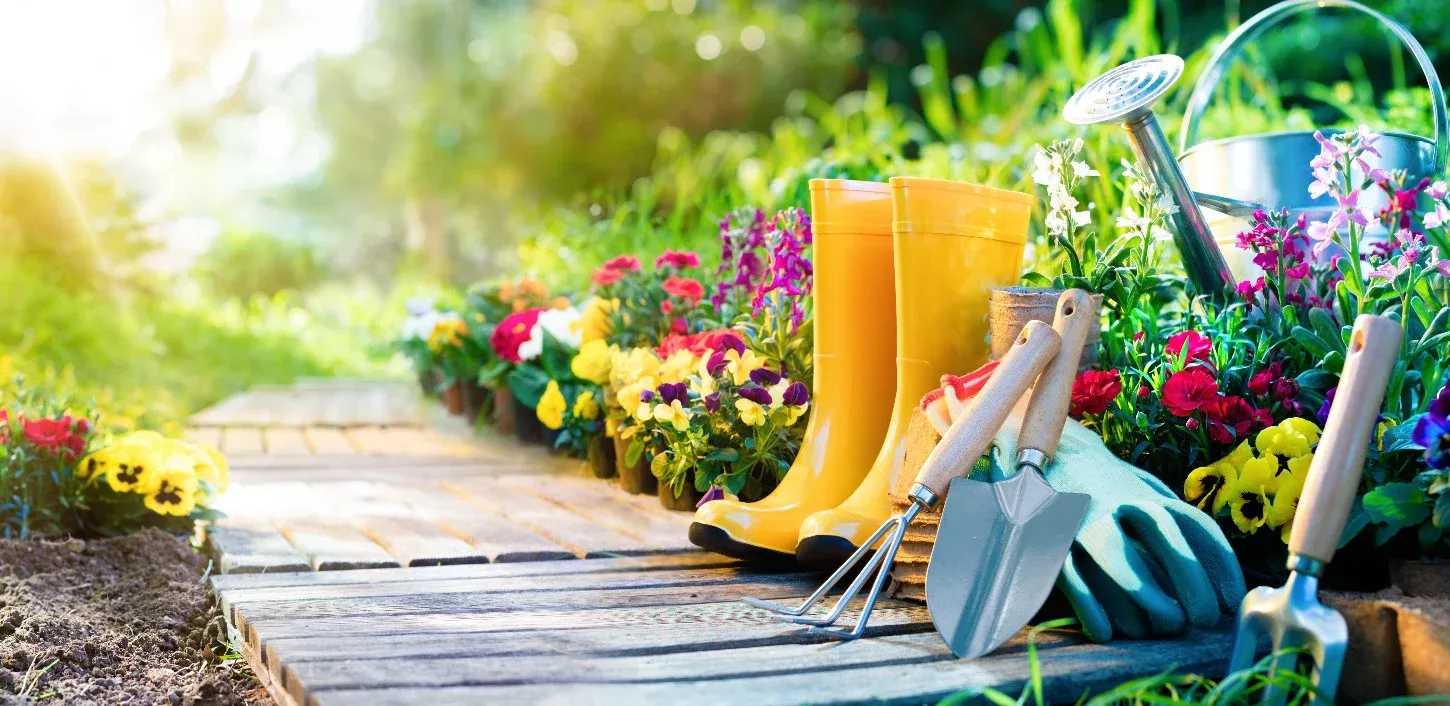 Kis kerti közgazdaság - megéri-e a konyhakert?